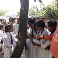 Tree Plantation Drive